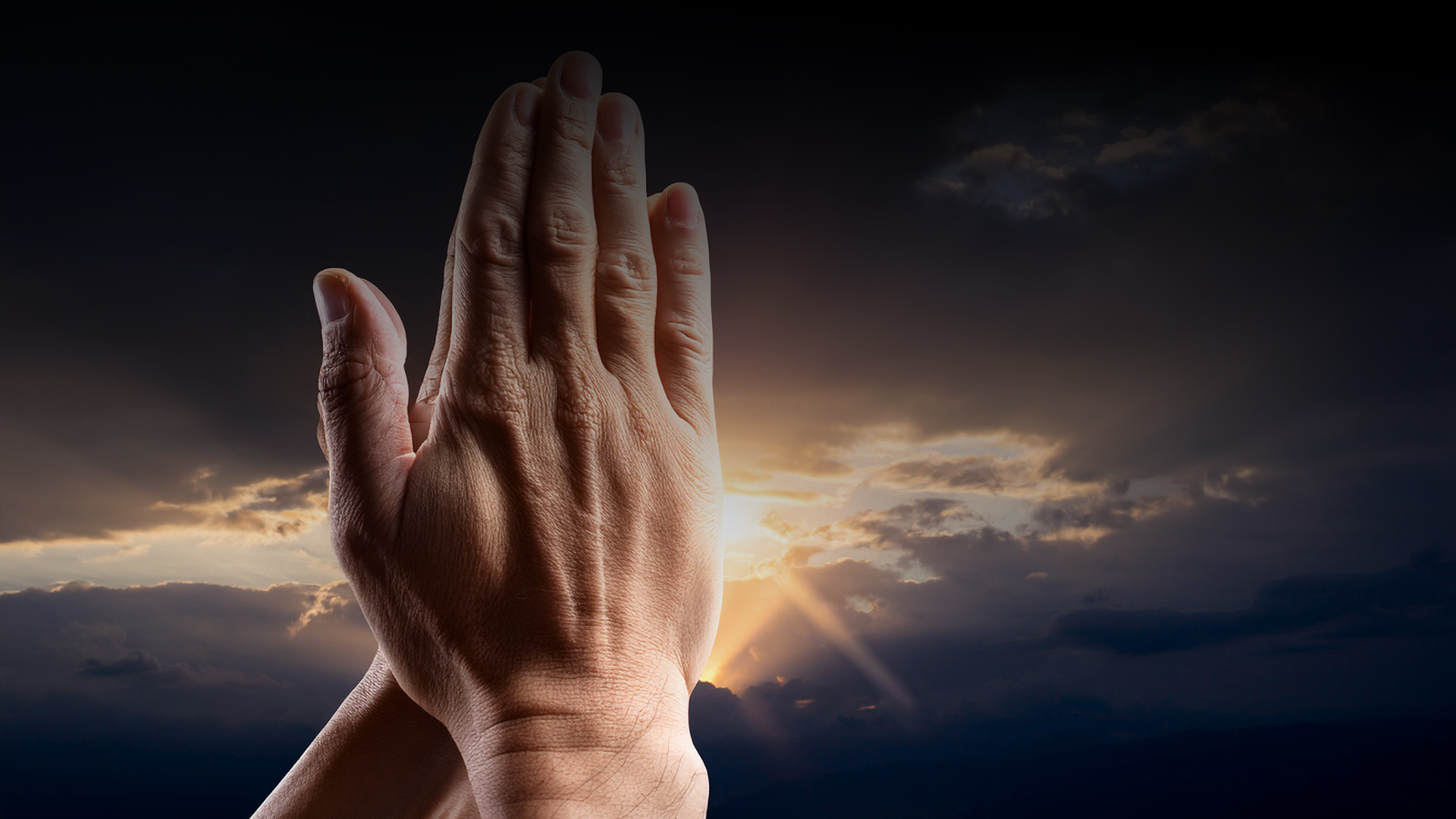 hands